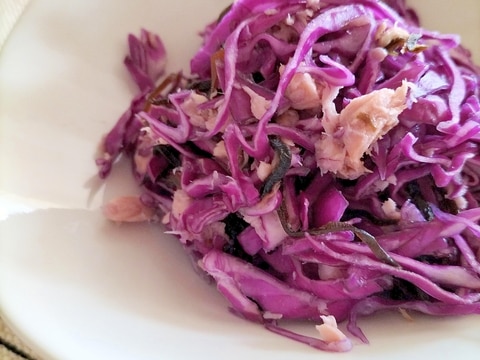 入賞紫キャベツとツナ昆布のうま味和え♩春のお弁当に